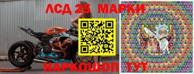 ECSTASY Новозыбков