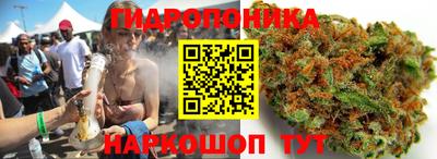 ECSTASY Новозыбков