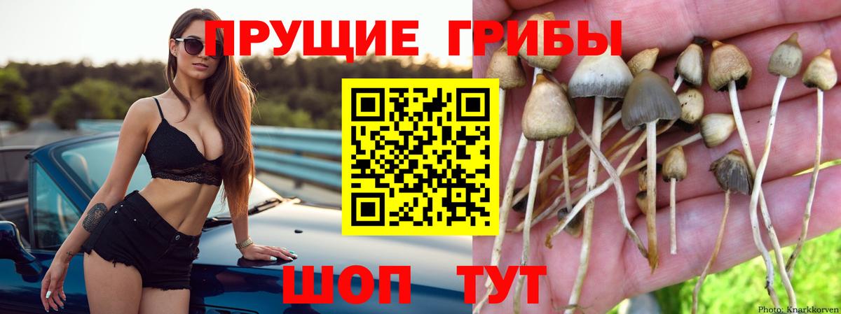 Псилоцибиновые грибы Magic Shrooms Стрежевой