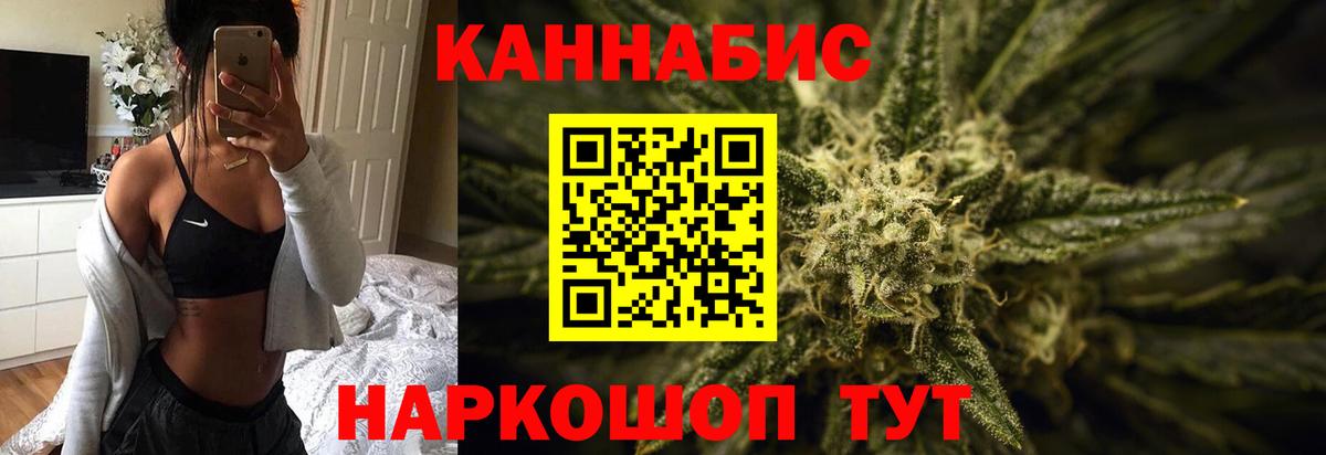 Конопля OG Kush Стрежевой